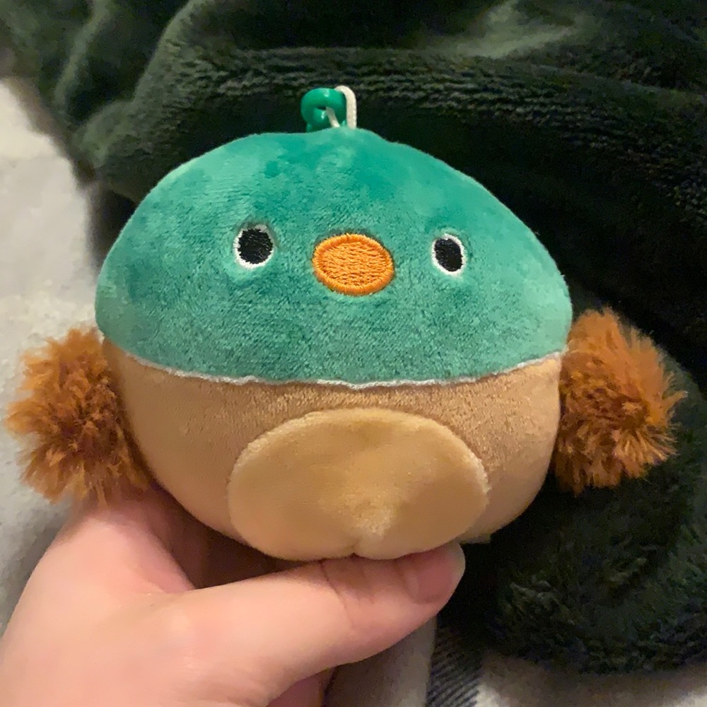 Avery mallard squishmallow